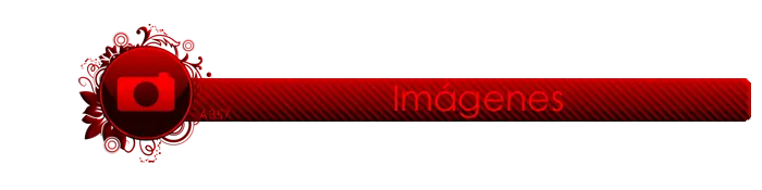 AEROGRAFIA