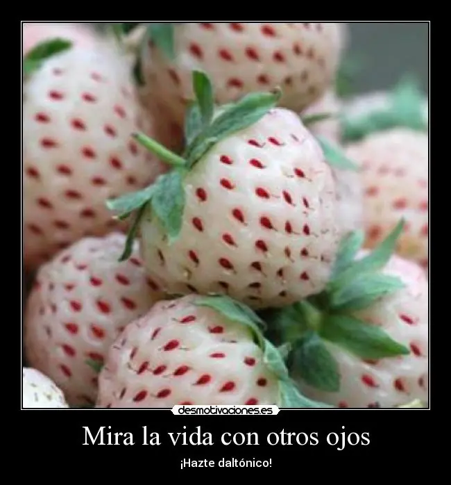 caracteristicas