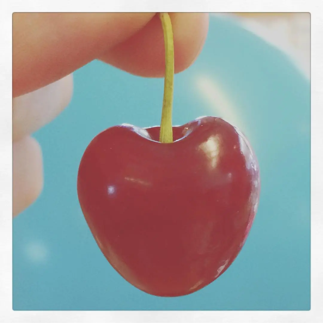 saludable saludable