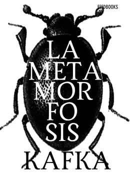novelas