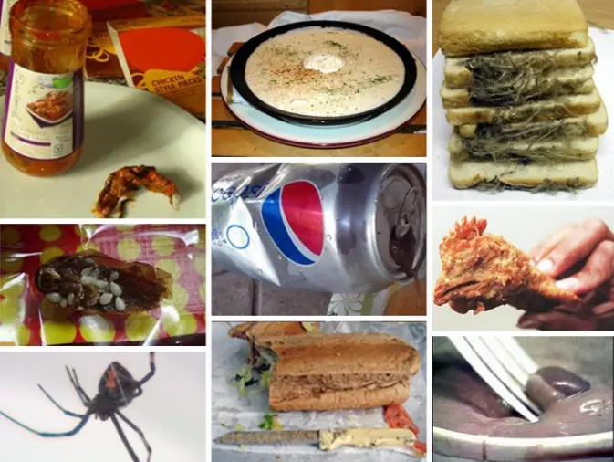 Objetos Insólitos en platos de Comida