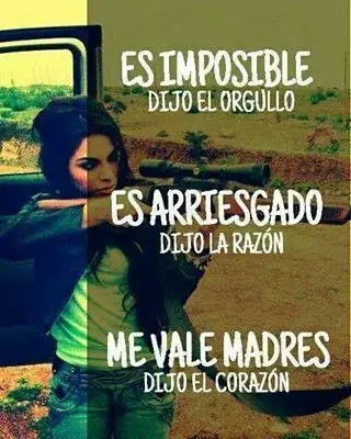 modismos