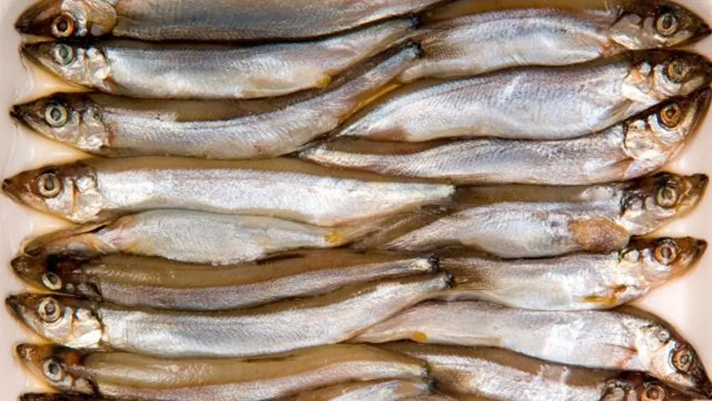 7 recursos naturales que están a punto de acabarse 7 recursos naturales que están a punto de acabarse