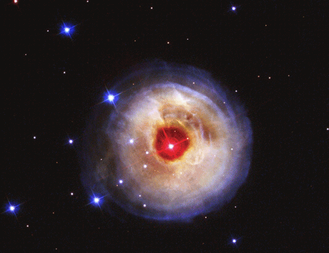 Vuelve la inteligencia a Taringa, ¡pasá lince!