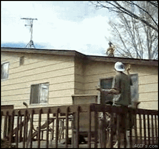 Gifs