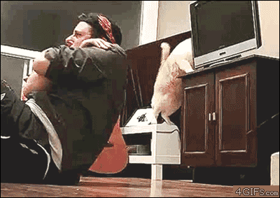 Si te queres reir un buen rato mira estos gif!! 5ª