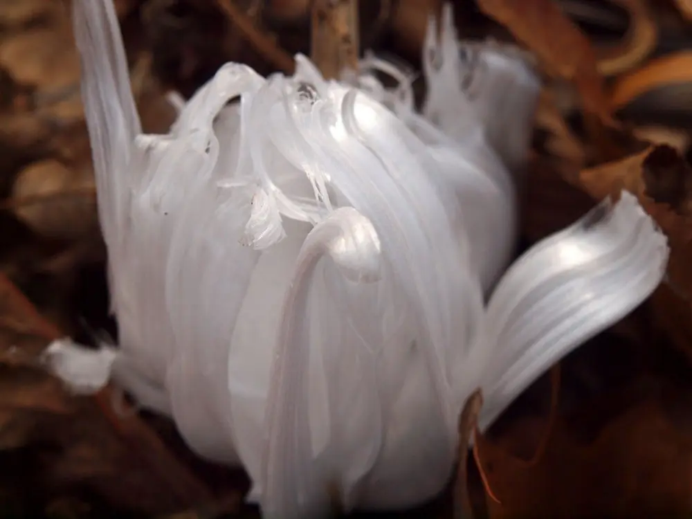fenomenos naturales