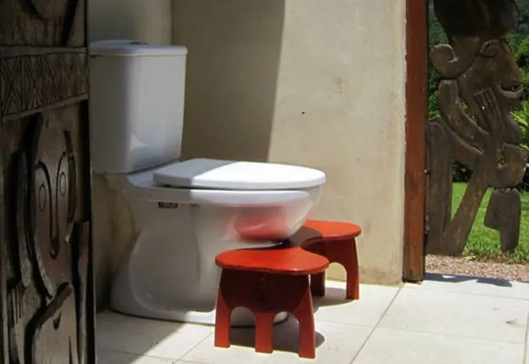 Revelaron la manera correcta de ir al baño