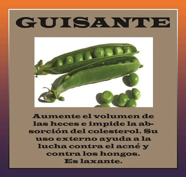 verduras