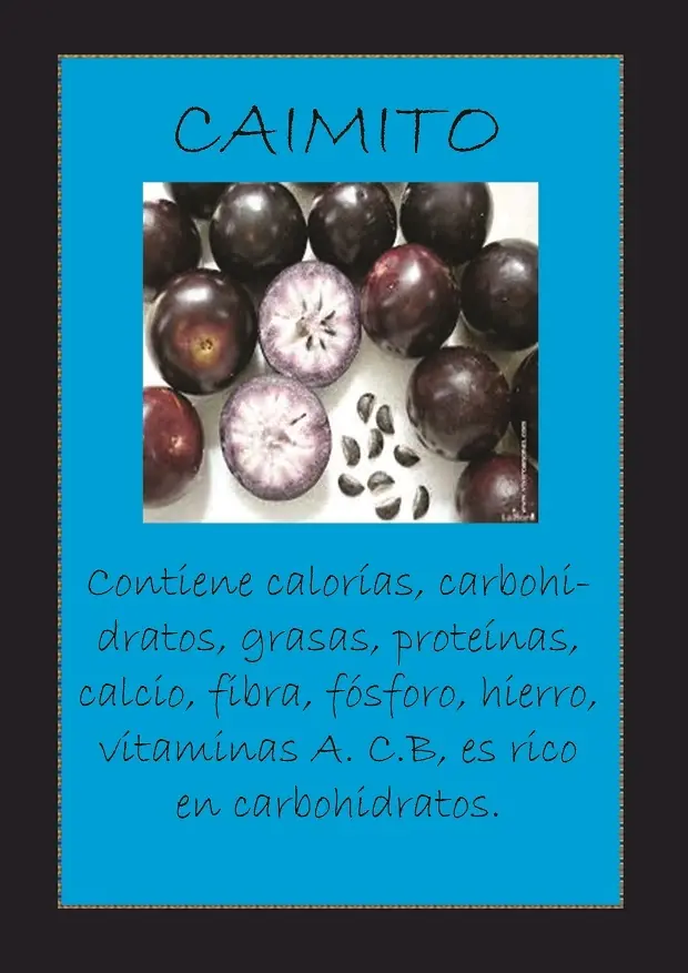 VENEFICIOS