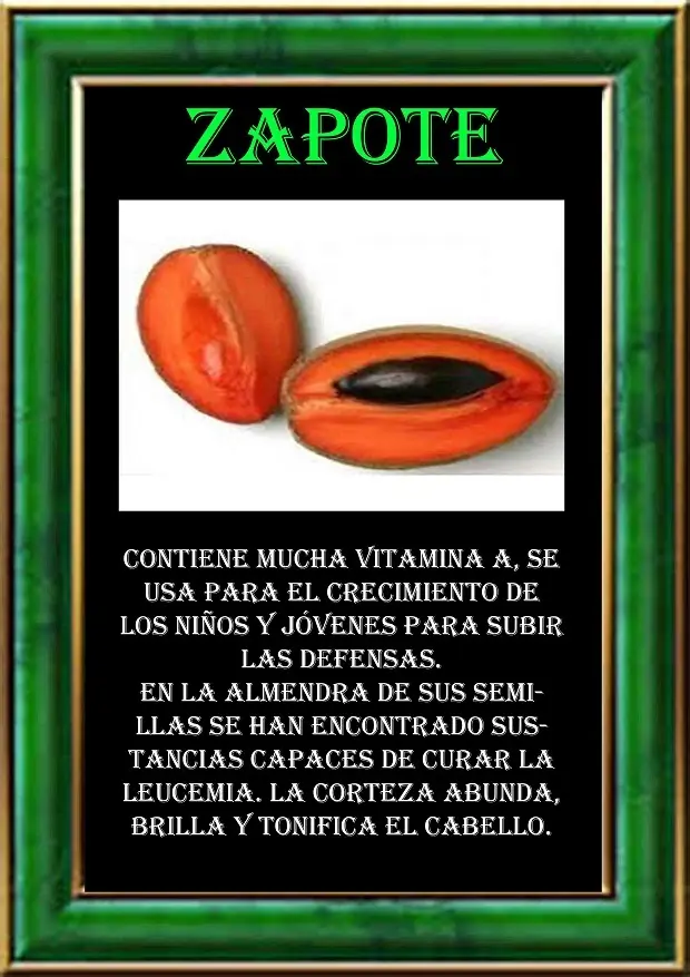 VENEFICIOS