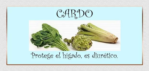 verduras