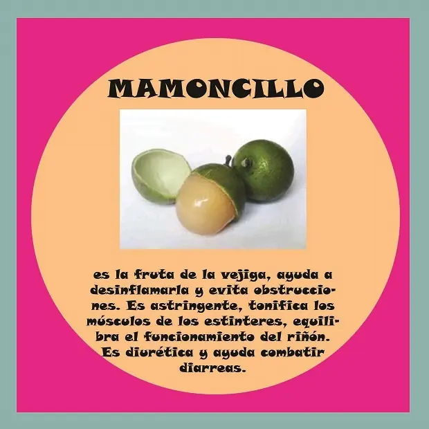 VENEFICIOS