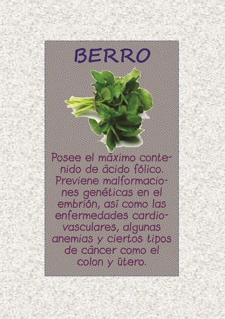 verduras