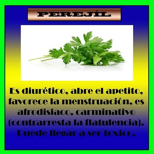 Beneficios de las frutas y verduras.