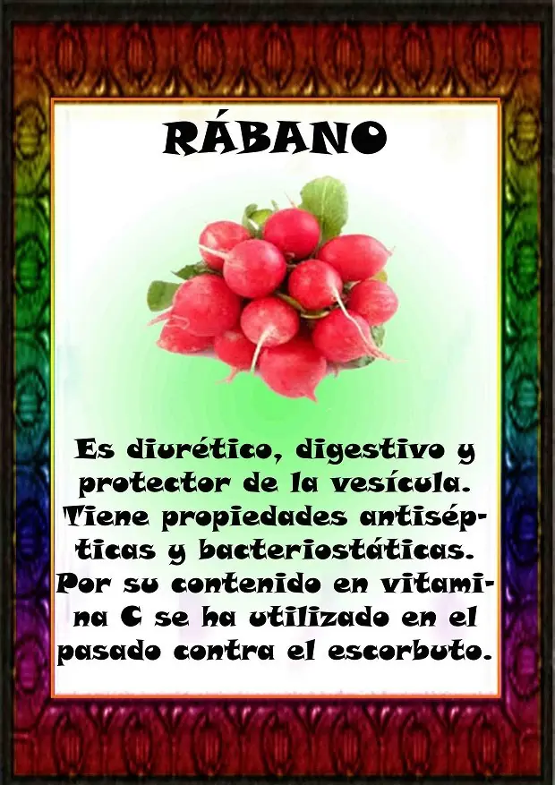 VENEFICIOS