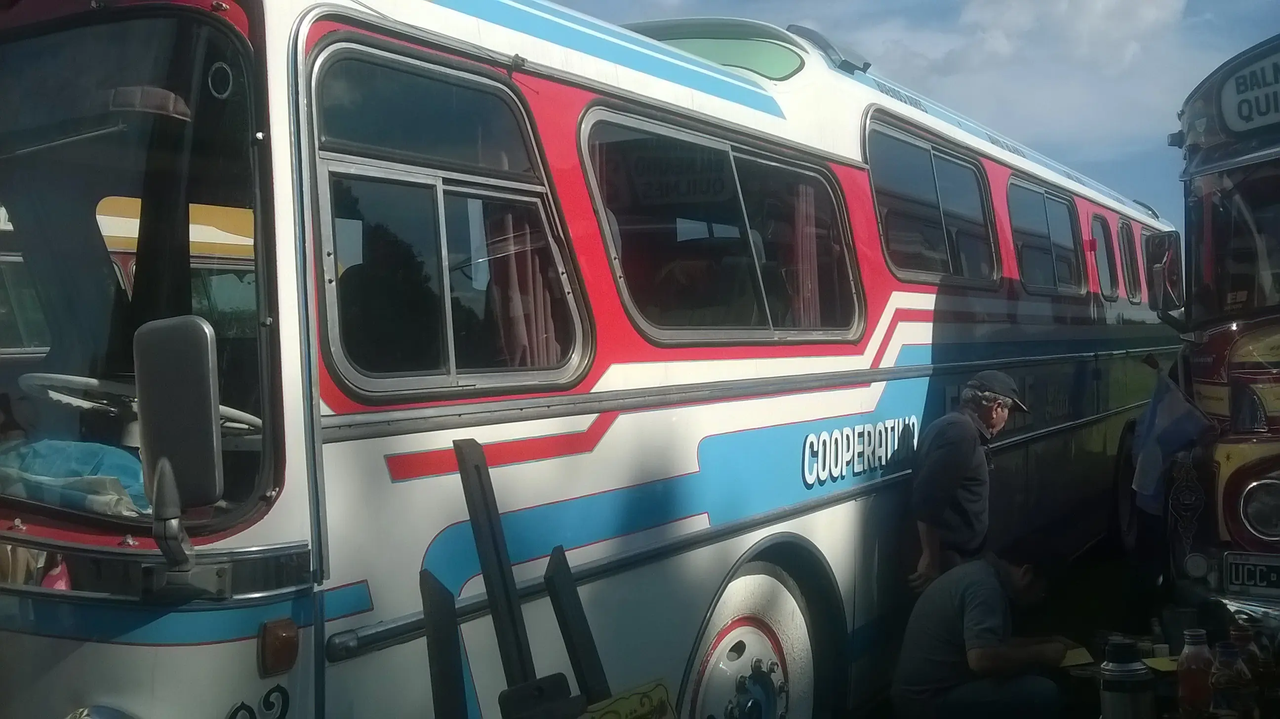 colectivos