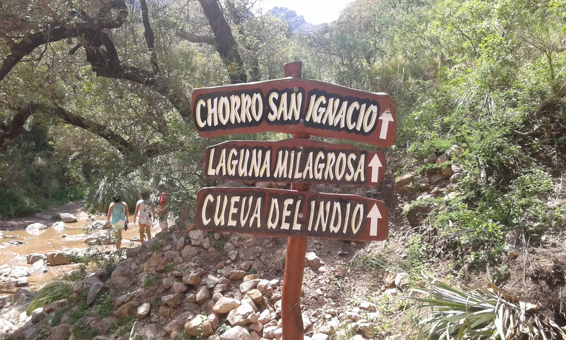 vacaciones
