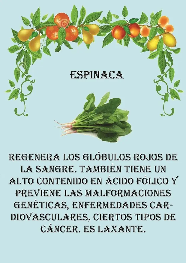 verduras