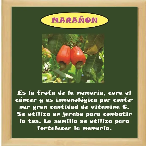 Beneficios de las frutas y verduras.