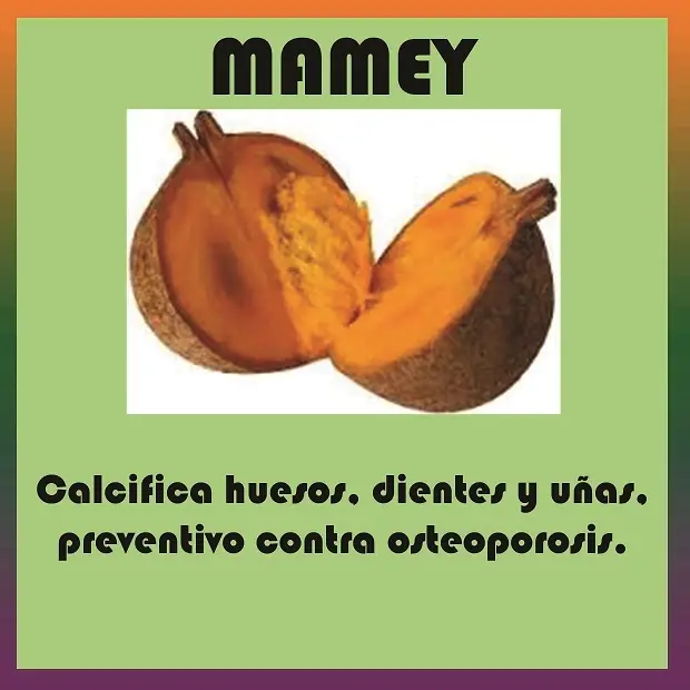 VENEFICIOS