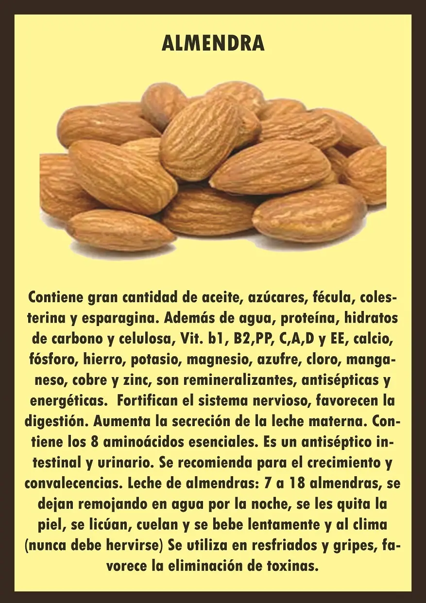 Beneficios de las frutas y verduras.