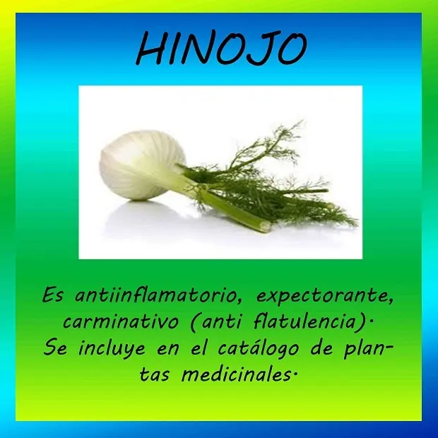 frutas