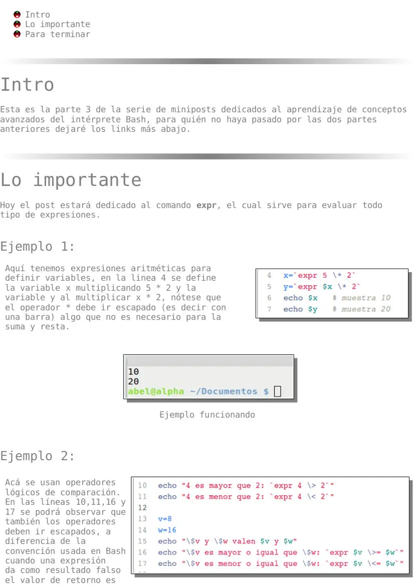 bash