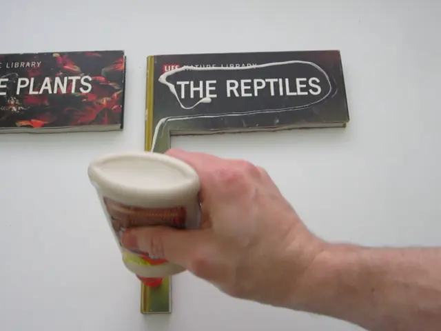 Queres guardar tus pertenencias de forma segura? entra lince