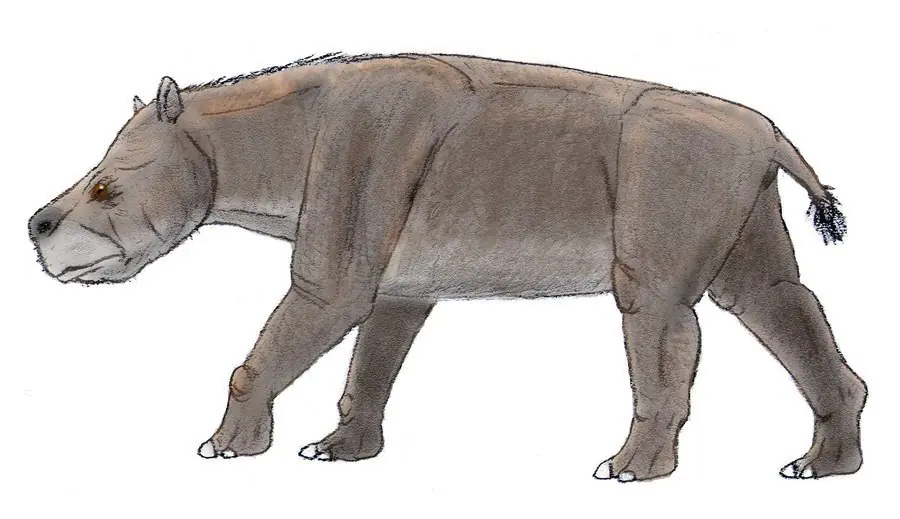 Dinosaurios Dinosaurios