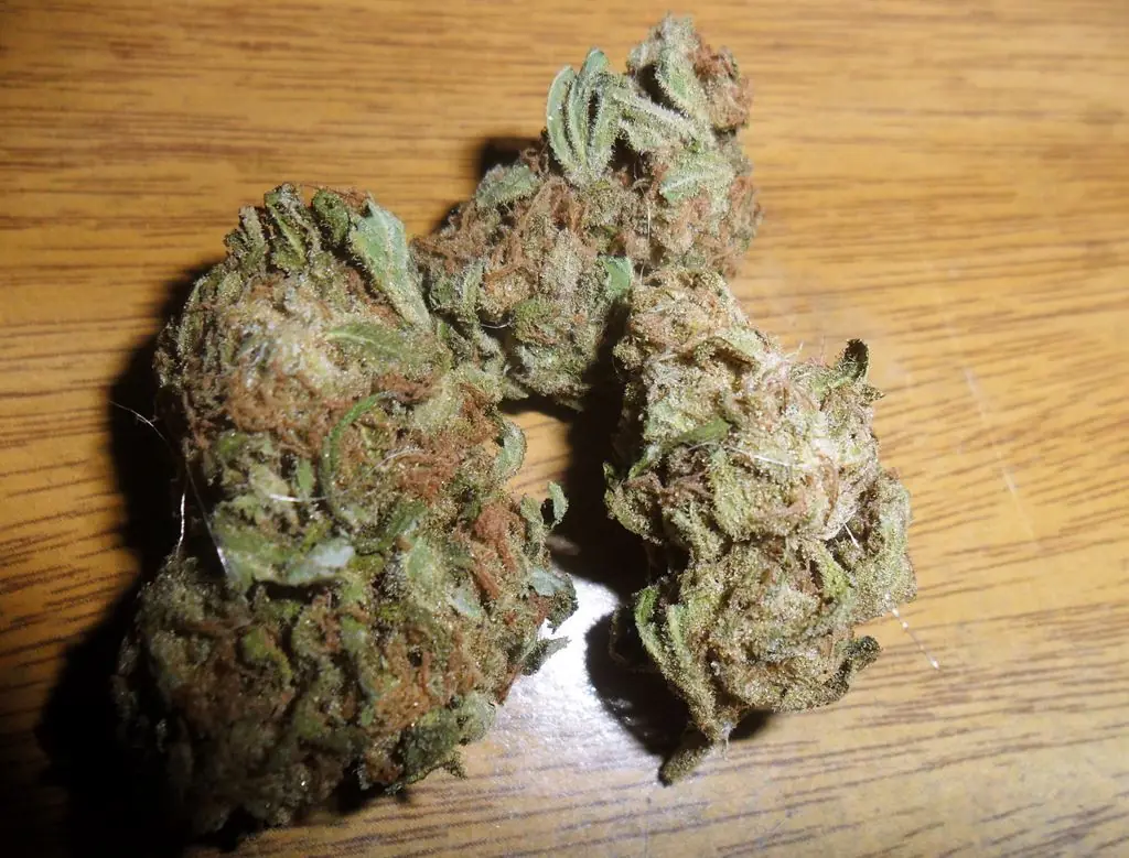 legalizacion