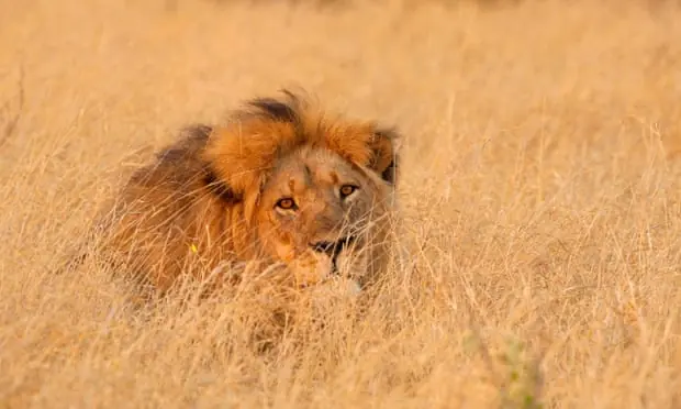 turismo africa