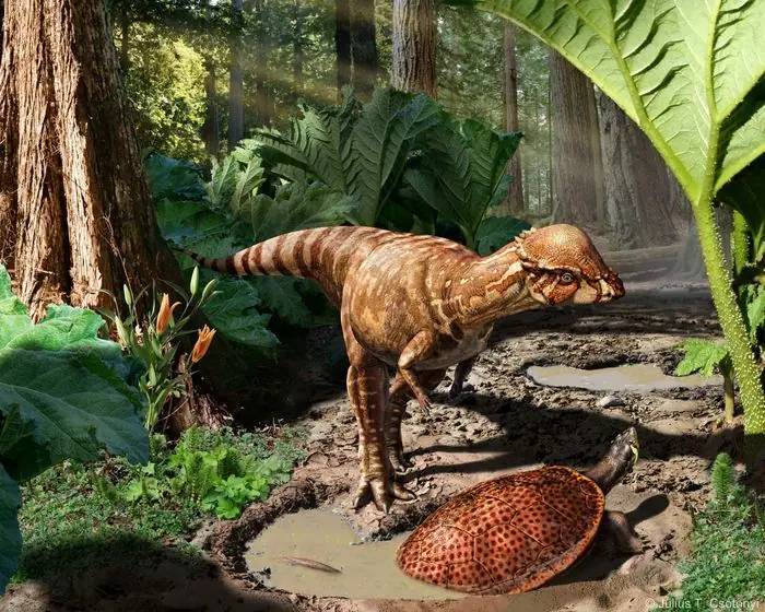 prehistoria prehistoria