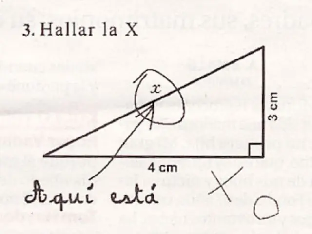 Humor