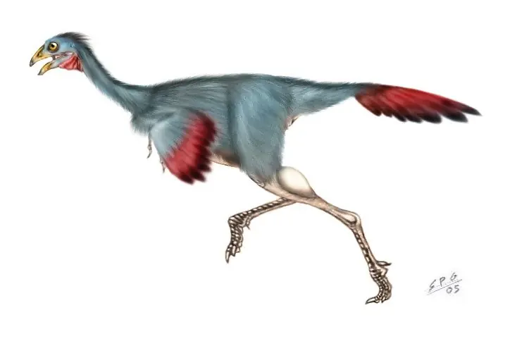animales prehistoricos animales prehistoricos