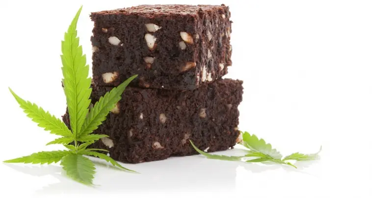 Top 10 de Recetas de Marihuana