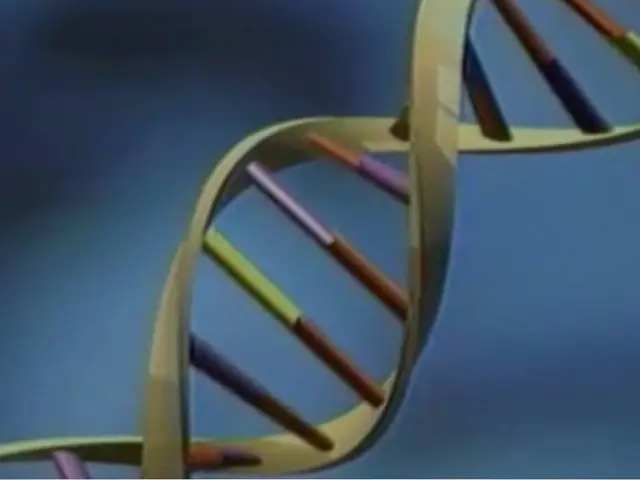 1 gr. de ADN = 455 exabytes (465.920 TeraBytes)