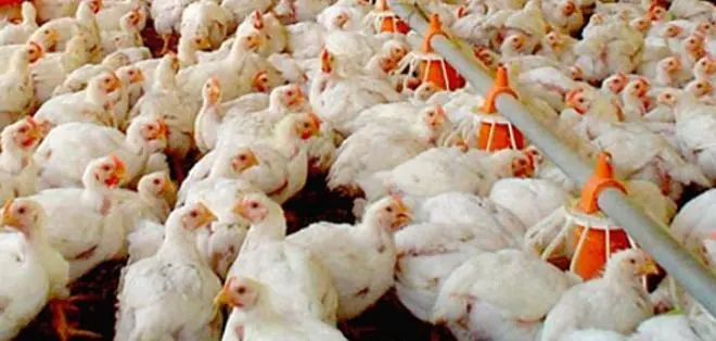 Datos impactantes que nadie te cuenta de EEUU