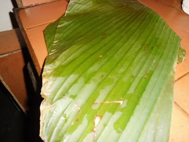 hallacas navidenas