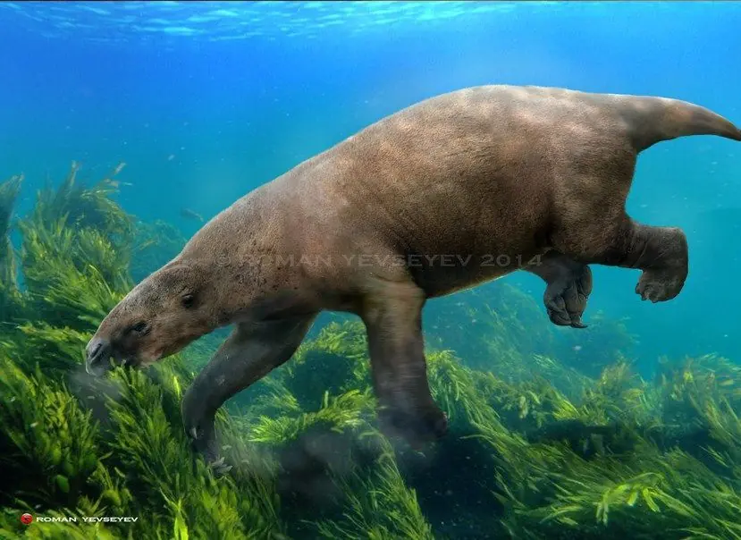 12 animales prehistóricos raros (2ª parte)