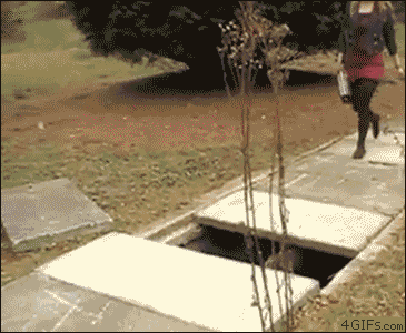 Gifs para divertirse un rato