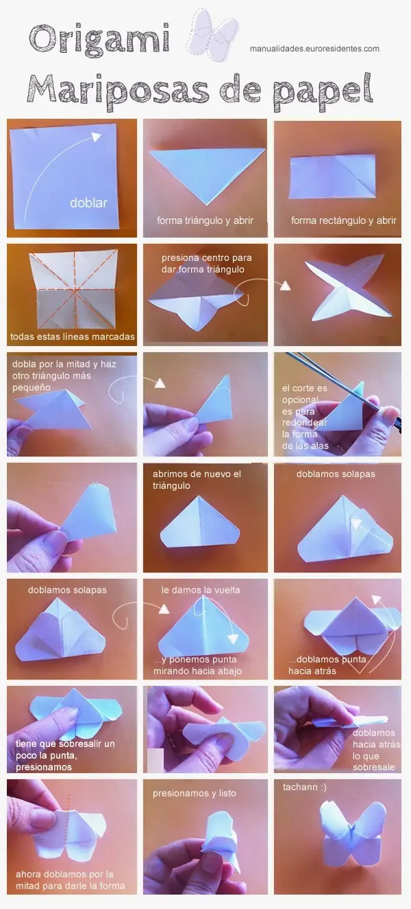 Origami