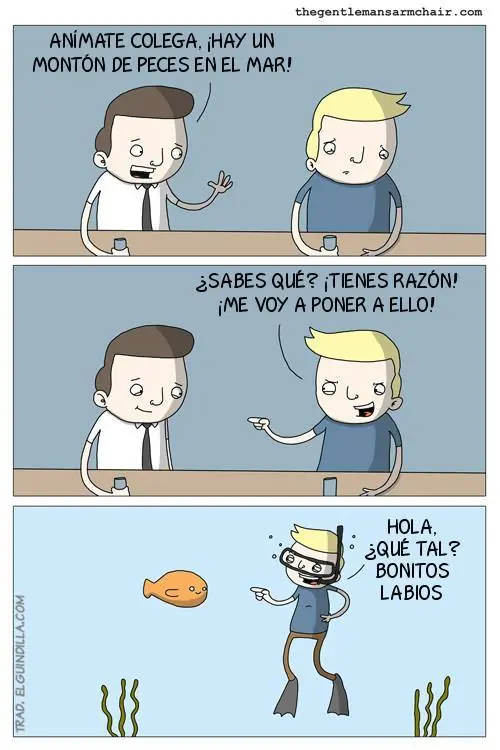 hurmor