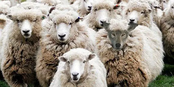¿Por qué los Illuminati se manifiestan?