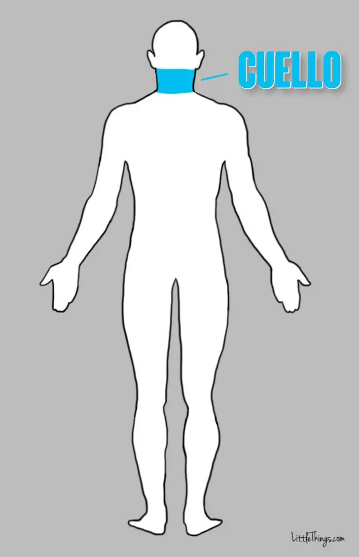 cuerpo