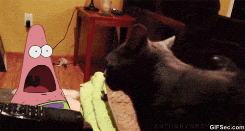 Buenos Gifs 2015