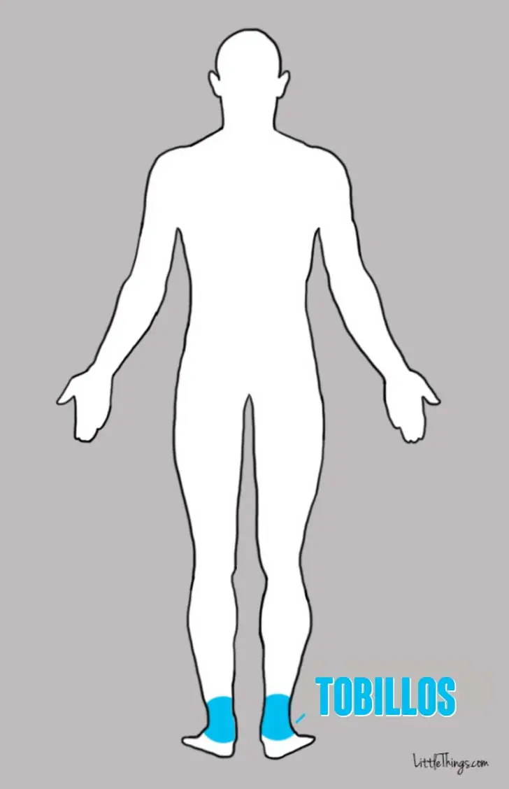 cuerpo