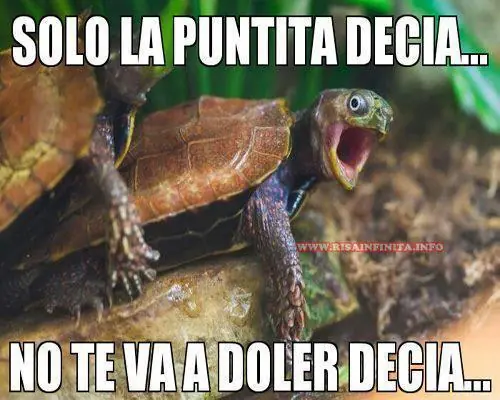 diversion