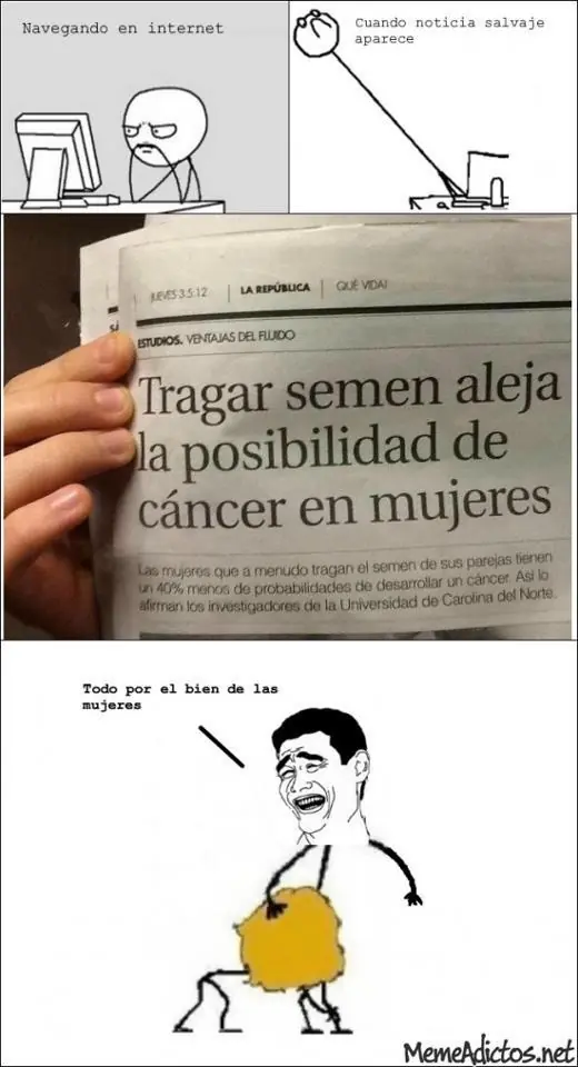 Humor de anime y memes