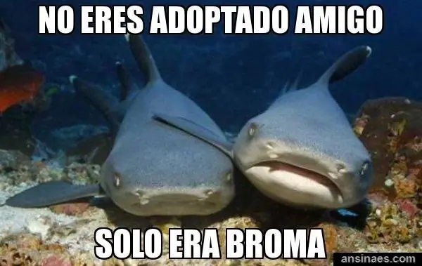 +5 Si te saco unas risas Papu!!!